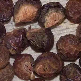 Cara Mencuci dengan Lerak: Lengkap Untuk Piring, Pakaian, dan Lantai
