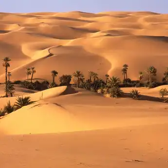 Capai Suhu 79,67 °C,  Inilah 3 Tempat Terpanas di Planet Bumi
