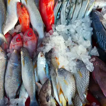 Anda Suka Makan Ikan? Perhatikan 6 Tips Memilih Ikan Segar yang Benar
