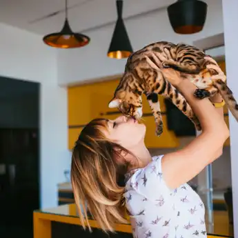 Mitos atau Fakta Pelihara Kucing Dapat Menyebabkan Kemandulan?