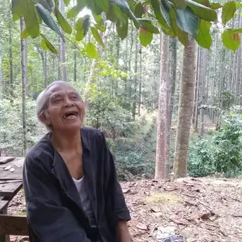 Hebat! Kakek Ini Tolak 10 Miliyar Hanya Karena Ingin Menjaga Hutan