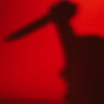 Merasa Puas Telah Bunuh Bocah 6 Tahun, Remaja Ini Terinspirasi dari Film