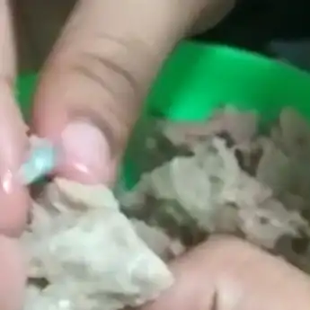 Heboh! Diduga Bakso Daging Tikus, Penjual Mengaku Tidak Tahu Menahu