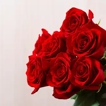 Jelang Hari Valentine, Harga Mawar Merah Melonjak hingga Rp 350 Ribu!