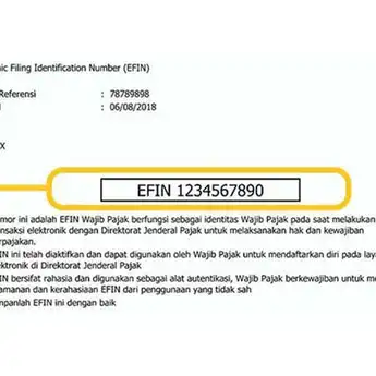 Mau Lapor SPT Online Tapi Lupa EFIN, Email atau Password DJP? Begini Solusinya!