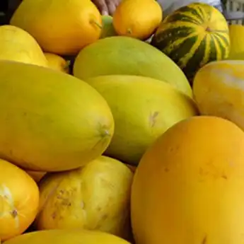 Sering Jadi Minuman Buka Puasa, Ini Tips Memilih Timun Suri yang Pulen