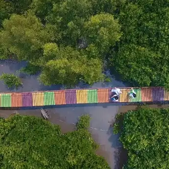 Bentuk Pelestarian Mangrove, Wisata Lantebung Hadir di Makassar
