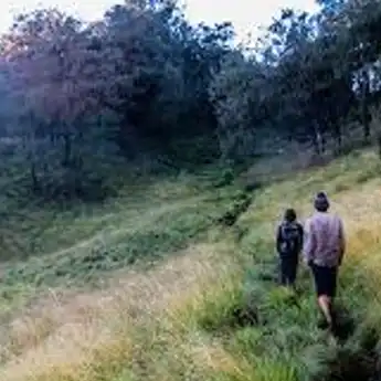 15 Kata-kata Pendaki Gunung, Punya Makna Mendalam dan Penuh Cinta!