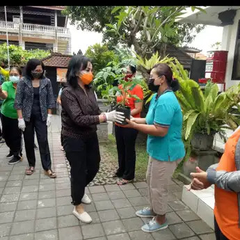 Manfaatkan Pekarangan Rumah, TP PKK Kota Denpasar, Serahkan Total 5000 Bibit