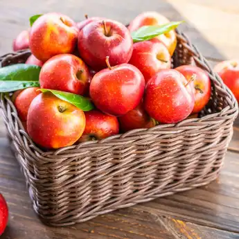 Jangan Sampai Tertelan, 5 Biji Buah ini Ternyata Berbahaya Bagi Tubuh