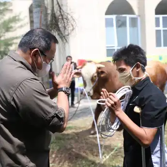 Pemkab Muba Qurban 30 Ekor Sapi, Bupati Dodi Serahkan Langsung ke Warga