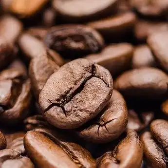 Peluang Kopi Sumsel Menembus Pasar Nasional dan Internasional