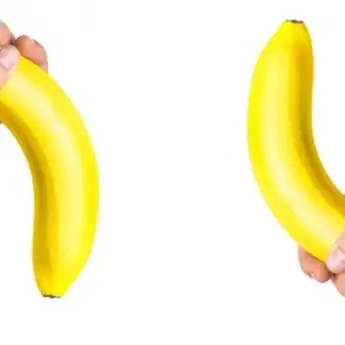 WAJIB TAHU! Penis Ternyata Punya 8 Bentuk Berbeda Lho, Kamu Tipe Mana?