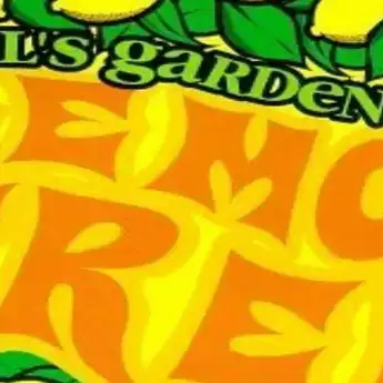 Lirik Lagu I Wonder How, I Wonder Why, 'Lemon Tree' - Fool's Garden