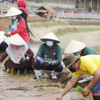 Lahan Terbatas, Pemkot Bandung Kembangkan Integrated Farming