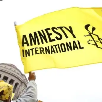 Amnesty Nilai Cara Silvany Jawab Tudingan Negara Vanuatu Tak Elegan