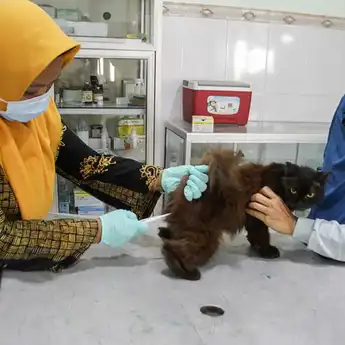 PDHI Sumsel Ajak Pemilik Hewan Peliharaan Manfaatkan Program Vaksin Gratis