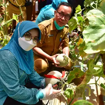 PKK Sulap Lahan Kosong GOR Sudiang Jadi Destinasi Agrowisata