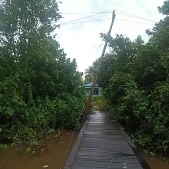 Tiang Listrik Mengarah ke Sungai Dikeluhkan Warga Tamban Sari Baru
