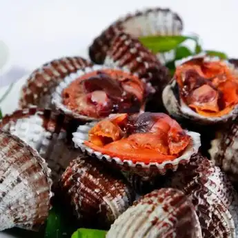 Kerang Darah Jadi Salah Satu dari 17 Makanan Berbahaya di Dunia?