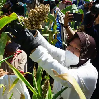 Kawasan Pelestarian Surabaya, Risma Resmikan Tahura Lempung