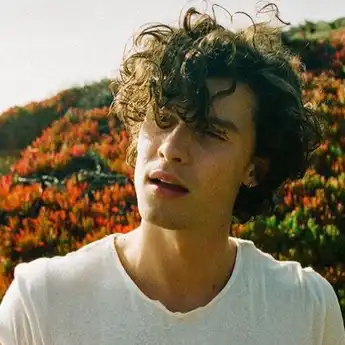 Lirik Lagu dan Chord ‘Teach Me How To Love’ Milik Shawn Mendes