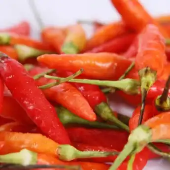 Harga Cabe Rawit di Makassar Meroket, Tembus Rp 50 ribu per kg