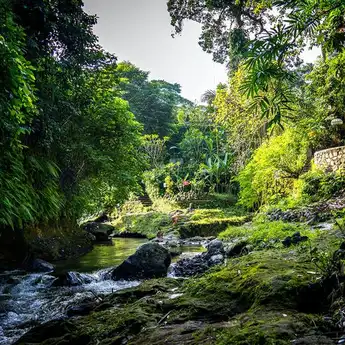 6 Resor Mewah di Provinsi Bali, yang Terletak di Tepi Sungai Ayung