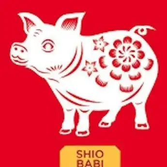 5 Pekerjaan yang Cocok Untuk Shio Babi Menurut Ilmu Fengshui
