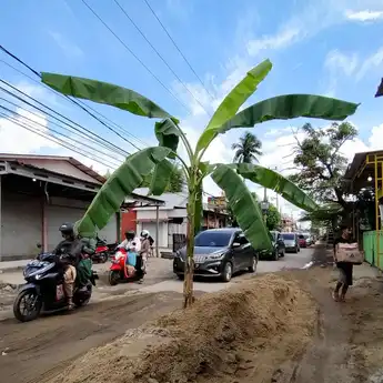 Proses Lelang Selesai, Perbaikan Jalan Cemara Ujung Dimulai Bulan Ini