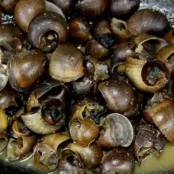 Surganya Makanan, Ini 5 Makanan Khas yang Wajib Kamu Coba saat ke Purwokerto