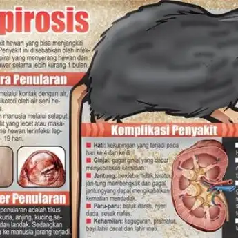 Wabah Leptospirosis Sebabkan Dua Warga Karangnyar Meninggal Dunia