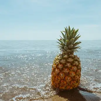 Nyesel Baru Tahu, Makan Buah Nanas Sebelum Tidur Ternyata Bisa ...