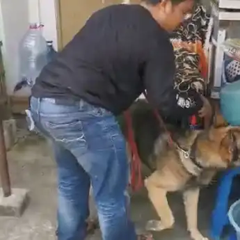 Jaringan Surabaya Lamongan, BNNP Jatim Amankan Kakak Adik Pengedar Sabu