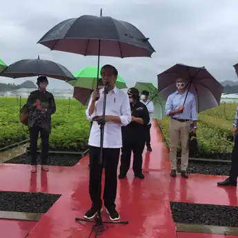 Tinjau Persemaian Rumpin, Presiden Jokowi Tunjukkan Keseriusan Indonesia Tangani Dampak Perubahan Iklim