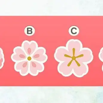 Tes Kepribadian: Pilih Bunga Sakura Favorit untuk Gambarkan Sifat Asli