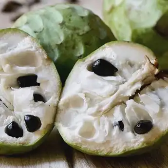 Benarkah Menanam Pohon Srikaya Bisa Membuat Pemiliknya Kaya Raya? Ini Penjelasan Pakar Fengshui Xiang Yi!