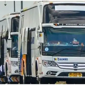 Ingin Mudik Naik Bus dengan Nyaman? Ini 8 Hal Penting yang Wajib Dibawa