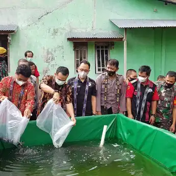 Budidaya Ikan Lele Demi Wujudkan Ketahanan Pangan Desa Hilir Kantor