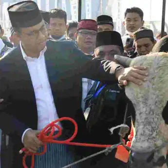 Pemasukan Kurban Idul  Adha di DKI Jakarta capai 58.010 ekor