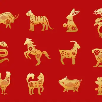 Ramalan Shio Hari Ini 23 Juli 2022 untuk Shio Kelinci, Naga, Ular: Adakah yang Hoki?