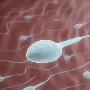 7 Kebiasaan Merusak Kualitas Sperma, Masih Yakin Mau Terus Dilakukan?
