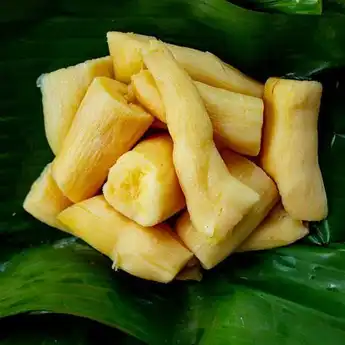 11 Manfaat Tape Singkong untuk Kesehatan, Tapi jangan Sampai Berlebihan Ya!