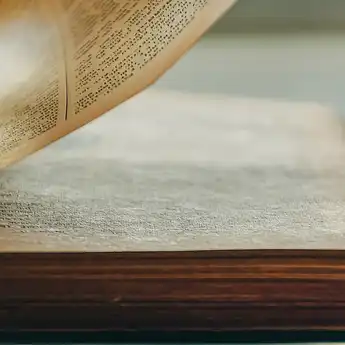 6 Contoh Report Text Singkat dalam Bahasa Inggris dan Artinya