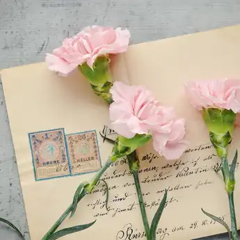 5 Contoh Personal Letter Bahasa Inggris dan Artinya, Dilengkapi Struktur