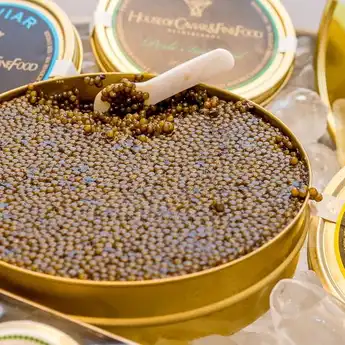 Lebay! Ini 5 Makanan Termahal di Dunia yang Bisa Sampai Rp 2 Miliar, Kayak Apa Sih Rasanya?