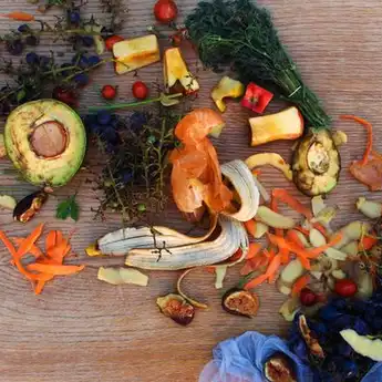 Suka Makan Tidak Habis? Kenali Bahaya Food Waste, Sangat Merugikan!
