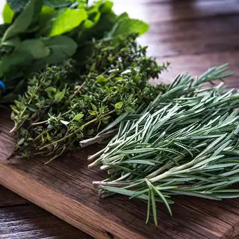 Bukan Obat, Ini 5 Tanaman Herbal yang Bisa Meredakan Diabetes, Sudah Coba?