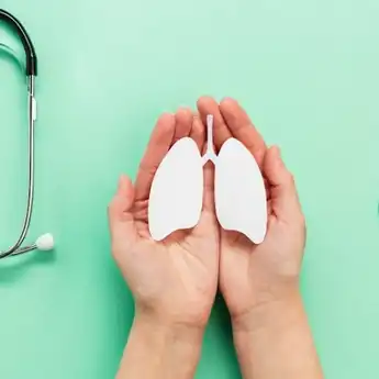 Fungsi Alveolus dalam Sistem Pernapasan Manusia dan Penjelasannya