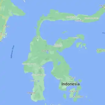 30 Suku di Pulau Sulawesi Lengkap dengan Penyebaran dan Budayanya